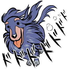 ちょいと眉毛が四角いダックス