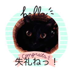 少しだけゆずプカ