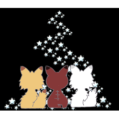 パンク猫３～梅雨＆夏を過ごします～