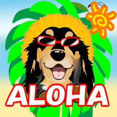 動くダックスフレンドvol.1