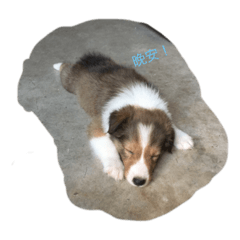 Yvonne_20200908092409