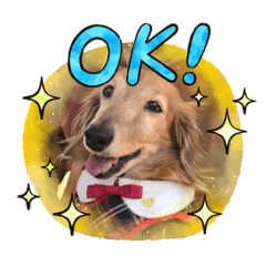 ソナタの毎日使えるスタンプ