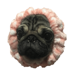 パグのてんぷら