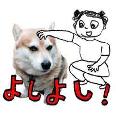 イラストとコラボのコーギー犬