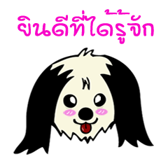 My Lady Cute Dog
