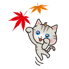 ネコの椛（もみじ）