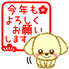 トイプードルの年末年始編