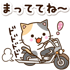 お茶目な三毛猫【感情編】