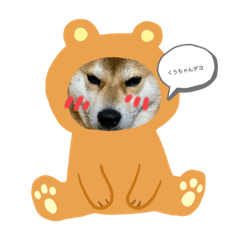 くうちゃんダヨ。