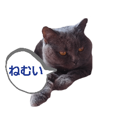 ぶりしょのさるひこくんの日常part2