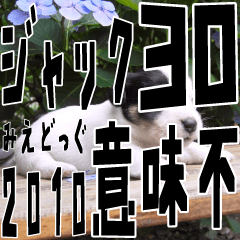 みえどっぐスタンプ ジャックラッセル編 30