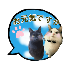 ルーちゃん&ポロちゃんの日常言葉。