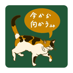 ネコ達の仁義なき日常