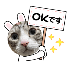 ニャンにゃんファミリー