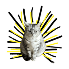 ちぃむぎけりぷぅ