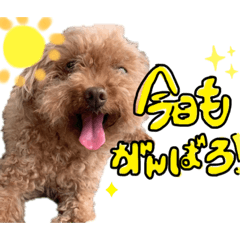 日常会ワンスタンプ