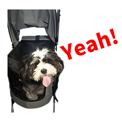 はぎわらコジロー