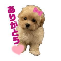 麦ちゃんスタンプ1