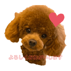 go!go!コジローくん