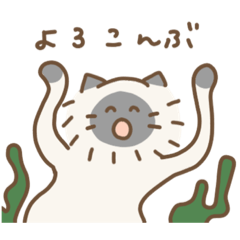 ねこのれいたん