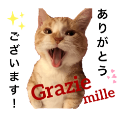 イタリア男子Leonくん。Ragazzo italiano.