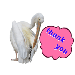 アニマルワールド9 ミックスアニマル英語版