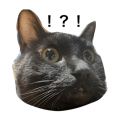 ピスおとれいちゃんとたからもの