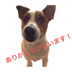 ジャックいろたん②