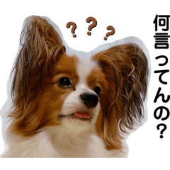 俺の名はレオン。