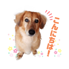 ポッキーくんのスタンプ