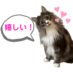 サイベリアンのたびちゃんのスタンプ(2)