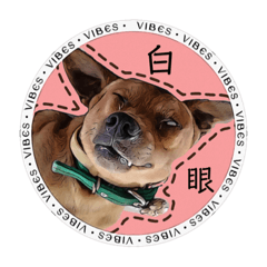 Sandy_20220510141612