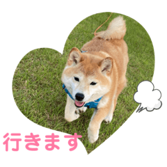 めーしゃんのッッッ！！