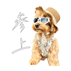 おむぎさんのスタンプ（マルプー）