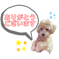 ソラボーイのスタンプ