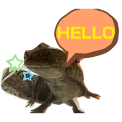 ウーパースタンプ！