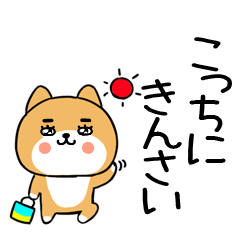 広島弁スタンプ＠柴犬@33