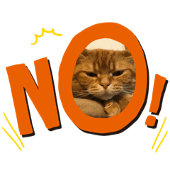 あいす & みぃ No3