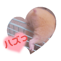 まいにち明るいきんくま君