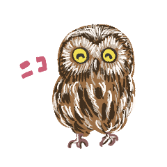いろいろフクロウのスタンプ