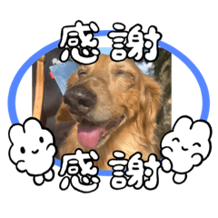 大好きビー❤️