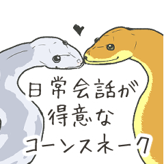日常会話が得意なコーンスネーク