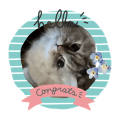 オリのスタンプ♡3