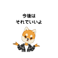 いろいろな　今後は　①-3　B