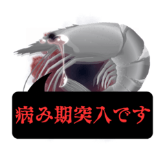 株式会社リコピン NO.28