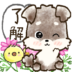 愛犬家のわんこ♡ふんわり優しい【挨拶】