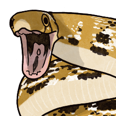 Serpentes 2 Revised Version