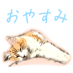 ひとりじゃないもんと猫と戯れ