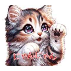 うるうる瞳の子猫ちゃん