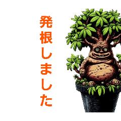 グラキリスの日常 #01